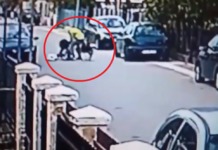 Un perro defiende a una mujer que estaba siendo atacada