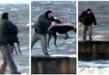 Un hombre lanza varias veces a su perro al agua helada del mar