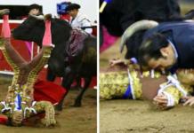 Un hombre se lanza para defender a su hermano mientras es atacado por un toro