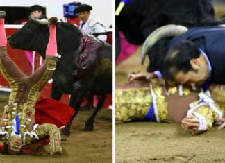 Un hombre se lanza para defender a su hermano mientras es atacado por un toro