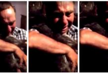 Su perro murió por los fuegos artificiales y así fue su dramática despedida