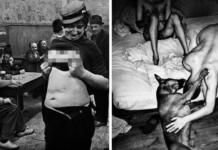 Un fotógrafo retrata los escandalosos y oscuros secretos de un famoso prostíbulo alemán