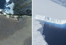 Descubren una ciudad oculta en la Antártida con 1,5 millones de habitantes