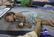 Resuelven el misterio de la peligrosa fruta que causó la muerte de centenares de niños