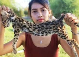 Una youtuber es arrestada tras cocinar y comerse animales protegidos para ganar seguidores