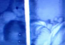 Graban el momento en que un oso de peluche gira la cabeza y abraza a una bebé en la cuna