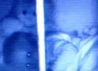 Graban el momento en que un oso de peluche gira la cabeza y abraza a una bebé en la cuna