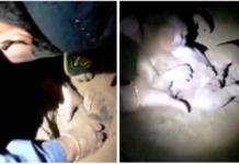 El angustiante rescate de una recién nacida tras haber sido enterrada viva durante 8 horas