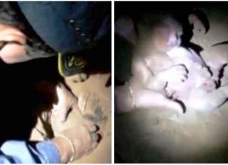 El angustiante rescate de una recién nacida tras haber sido enterrada viva durante 8 horas