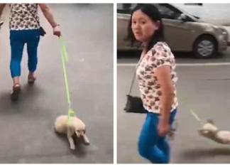 Una mujer es sorprendida arrastrando a la fuerza a su perro y levantándolo por los aires