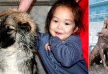 Crean una estatua en honor a la «niña Mowgli» que escapó de la muerte gracias a su perrita