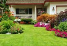 Los 6 beneficios del vinagre que transformarán tu jardín en un verdadero paraíso