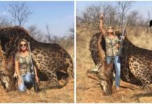 Una cazadora causa indignación al posar orgullosa junto al cadáver de una jirafa