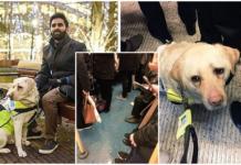 Hombre ciego rompe a llorar después de que nadie le cediera el asiento junto a su perro guía