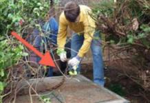 Sabían que había una puerta de metal en su patio trasero hasta que por fin deciden abrirla