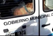 Hallan el cadáver de un perrito sin hogar que iba a ser llevado a la perrera – ¡Justicia!