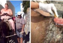 El gobierno griego prohíbe que los turistas pesados paseen abordo de burros