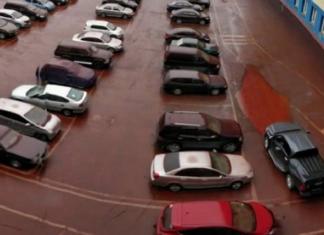 Una «lluvia de sangre» de características apocalípticas causa alarma en la población