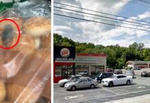 Cierran un restaurante de comida de rápida después de hallar ratones vivos en bolsas de pan