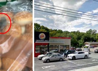 Cierran un restaurante de comida de rápida después de hallar ratones vivos en bolsas de pan