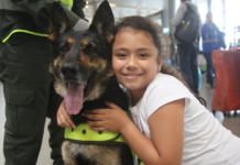 Ofrecen 70 mil dólares por la cabeza de Sombra, una perrita que combate el crimen