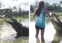 El impactante vídeo en el que una joven alimenta a un cocodrilo de 4 metros
