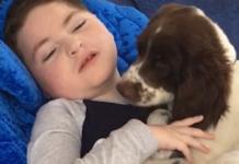 Una madre comparte emotivas imágenes de su hijo de 8 años discapacitado y su nueva mascota