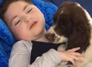 Una madre comparte emotivas imágenes de su hijo de 8 años discapacitado y su nueva mascota