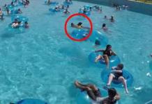 Un niño lucha desesperado por no ahogarse en la piscina y nadie se da cuenta