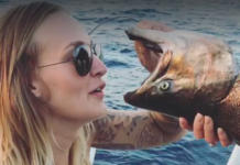 El nuevo reto viral: beber cerveza a través de la garganta de un pez muerto Reto del Pez Muerto