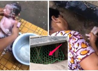 Increíble momento en que rescatan a un recién nacido vivo desde el fondo de una alcantarilla