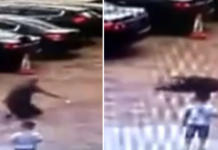 Un anciano de 80 años es “tragado por la tierra” mientras caminaba por la calle