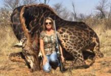 La indignante respuesta de la cazadora que mató una jirafa y asegura que lo hará de nuevo