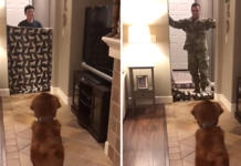 Este soldado sorprendió a su mascota de la mejor manera después de dos años sin verse