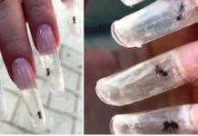 Conmoción en la red tras la cruel moda de introducir hormigas vivas dentro de uñas acrílicas