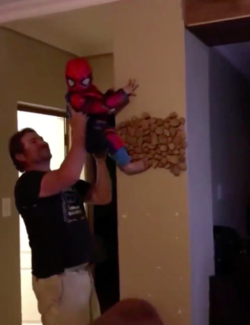 Mini Spider Man