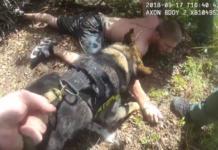 Perro policía se convierte en héroe tras capturar a un hombre que quiso secuestrar a un bebé