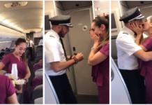 Le pide matrimonio en las alturas y los pasajeros se conmueven por el genuino gesto de amor