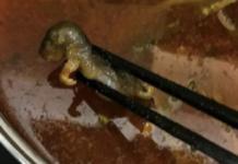 Mujer embarazada descubre una rata en su sopa y el popular restaurante ofrece pagar el aborto