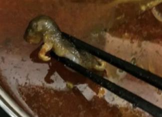Mujer embarazada descubre una rata en su sopa y el popular restaurante ofrece pagar el aborto
