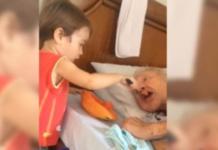 Graban a un pequeño niño alimentando dulcemente a su abuelito – «Cosechas lo que siembras»
