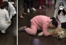 Una mujer llora desconsoladamente sobre el cuerpo inerte de su perrita envenenada