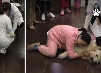 Una mujer llora desconsoladamente sobre el cuerpo inerte de su perrita envenenada