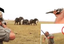 Cazadores asesinan cruelmente a un elefante y la manada entera arremete contra ellos