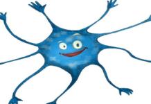 El simple ejercicio con el que podemos crear más de 1,000 neuronas cada día a cualquier edad