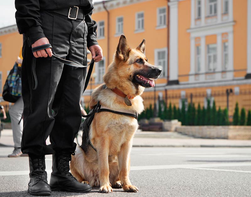 policía