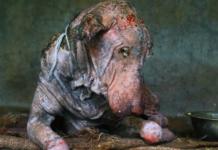 Enfermo al costado de una carretera dejó de luchar, pero sus héroes le hicieron una promesa