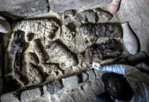 El increíble hallazgo de decenas de gatos momificados desconcierta a miles de personas