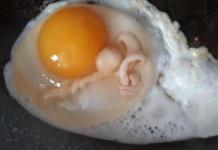 Una mujer se sorprende con un asqueroso hallazgo al abrir un huevo para su desayuno