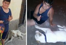 Niño renuncia a su regalo de Navidad para salvarle la vida al perro que vio en la calle